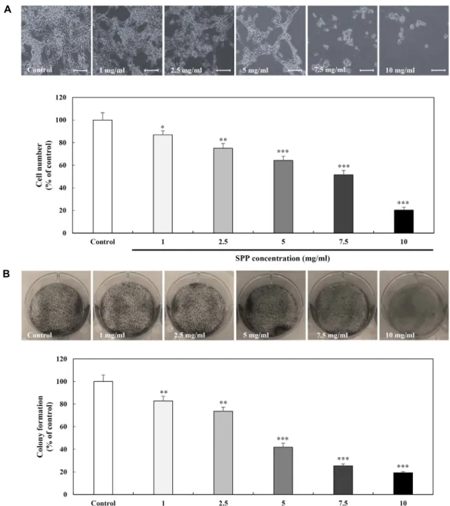 Fig.  3.  Effect  of  SPP  on  morphological  change  and  single-cell  proliferation  of  breast  cancer  MDA-MB-231  cells