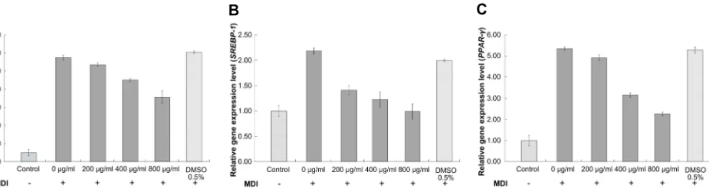 Fig.  4.  Gene  expression  in  3T3-L1  cell  depending  on  effect  of  red  yeast  barley  (RYB)