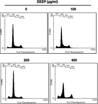 Fig.  2.  Induction  of  SubG1  accumulation  in  EEEP-treated  A549  cells.  A549  Cells  were  cultured  and  treated  with  EEEP  for  48  hr