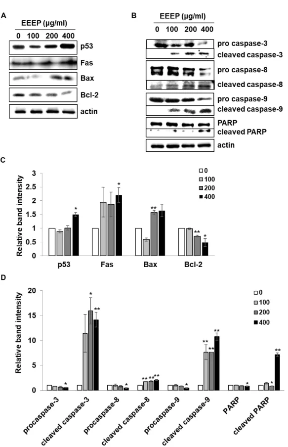 Fig.  5.  Modulation  of  apoptosis-related  protein  expression  in  A549  cells  by  EEEP