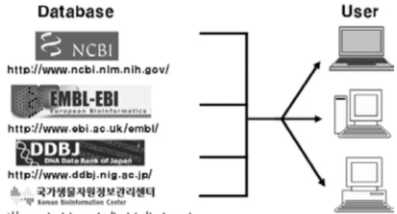 Figure  2.  기하급수적으로  증가하는  Gene  Bank  데이터. 적  서열  데이터가  수집되어  데이터베이스로  구축되었으며, 이들 1차 염기서열 즉 DNA 레 벨에서 유전자의 발현양상을 연구하는 학문인  유전체학(genomics)을  발전시켰으며, 한편 중 심원리(central  dogma)의  최종산물인  단백질 의 기능과 구조분석을 위한  단백체학(proteo-mics)이라는 또 다른 학문이 파생되었다