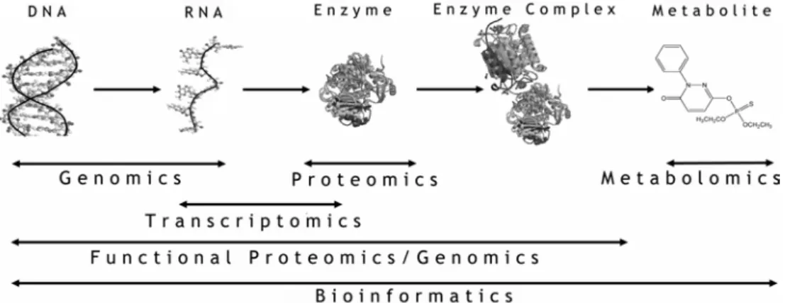 Figure 3. 바이오인포메틱스와 여러 오믹스 기술(-omics technology)의 상관 관계. 한 새로운 학문인 대사체학(metabolomics) 등  새로운 형태의 다양한 학문들이 생겨났다