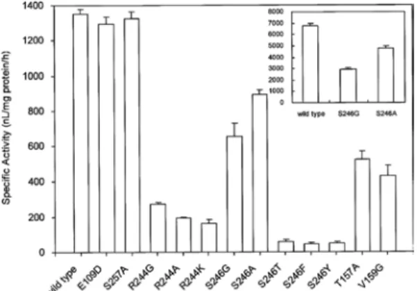 Figure  5.  Wild  type과  치환된  효소들의  specific  activity 비교 실험 결과.