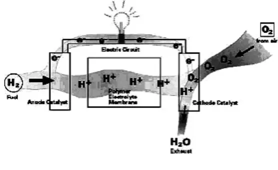 Figure 1. 연료전지의 동작원리.