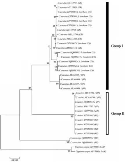 Fig.  3.  A  neighbour-joining  (NJ)  tree  of  CYTB  gene  sequence  constructed  to   demon-strate  the  phylogenetic  relationship  of  the  genus  Carassius  and  Cyprians  carpio