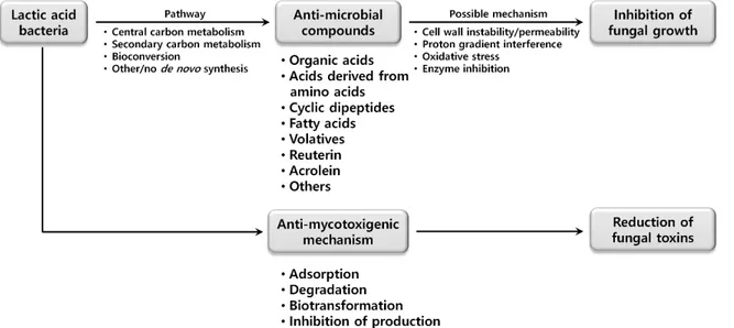 Fig.  1.  Anti-fungal  mechanisms  of  lactic  acid  bacteria  (adapted  from  [81,  87]).