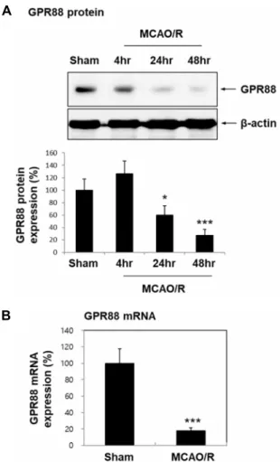 Fig.  3.  Cell  viability  reduction  in  HT22  under  OGD  conditions. 