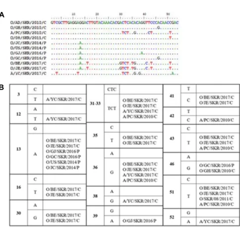 Fig.  1.  Sequence  alignment  and  nucleo- nucleo-tide  variation  of  FMDV  CRE   re-gions