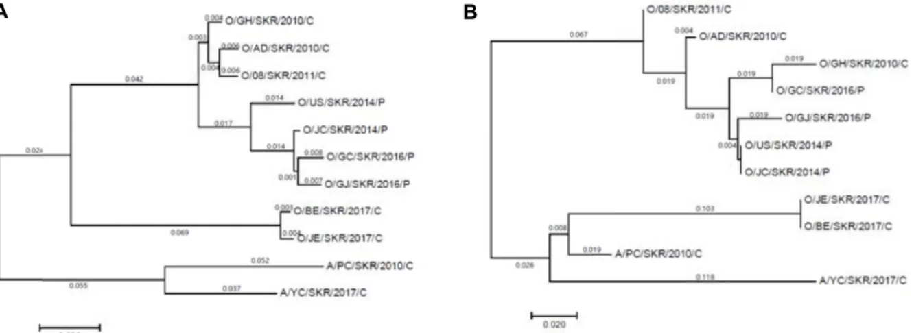 Fig.  3.  Maximum  Likelihood  tree  showing  phylogenetic  relationships  of  FMDV  isolates  based  on  the  complete  genomic  sequence  (A)  and  CRE  region  sequence  (B)