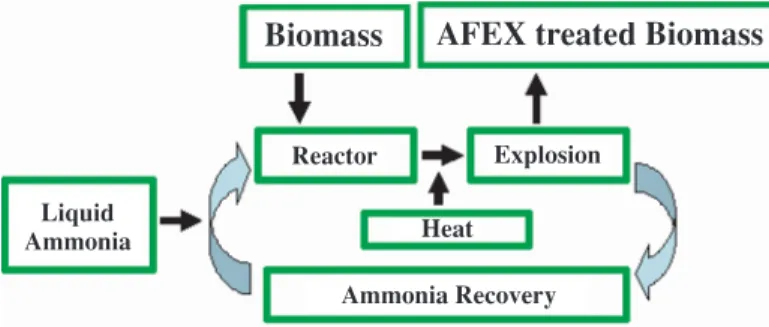 그림 8. AFEX(ammonia fiber explosion) 공정 모식도(Bruce Dale,  AIChE Annual Meeting, 2006).