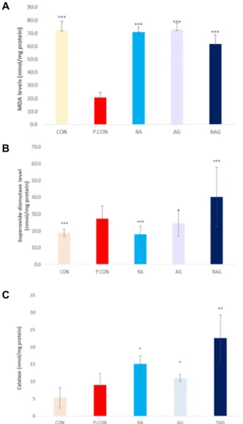 Fig.  2.  Changes  of  malonedialdehyde  (MDA),  superoxide  dis- dis-mutase  (SOD),  catalase  (CAT)  in  C57BL/6  treated  with  RA,  AG,  and  a  mixture  of  these  compounds  for  a  period  of  4  weeks