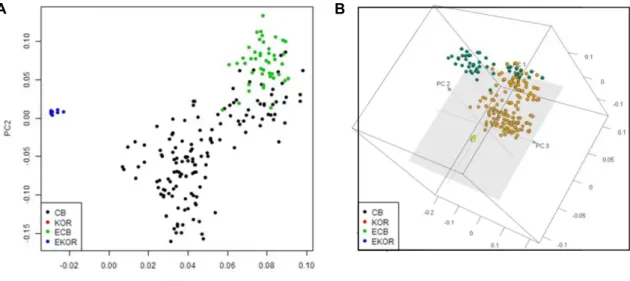 Fig.  4.  Principal  component  analysis  (PCA)  of  the  validation  analysis  using  133  SNPs:  (A)  2D  analysis,  (B)  3D  analysis.