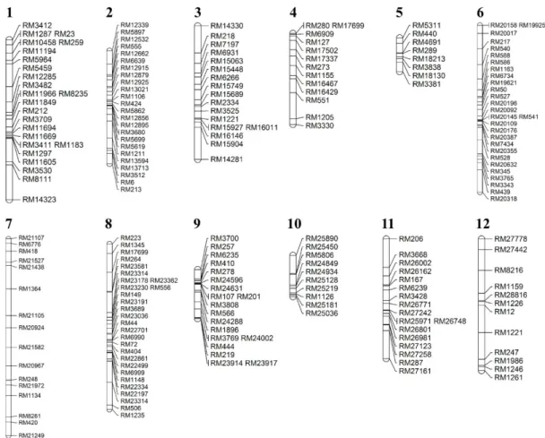Fig.  1.  Genetic  map  of  CNDH.  Genetic  map  with  an  average  interval  of  10.6  cM  between  markers  created  using  Mapmaker  version  3.0  using  222  DNA  markers  in  the  Molecular  Breeding  laboratory.