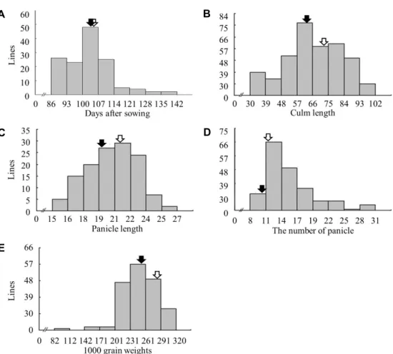 Fig.  2.  Trait  analysis  of  parents  and  population.  The  frequency  distribution  for  growth  survey  in  CNDH  population