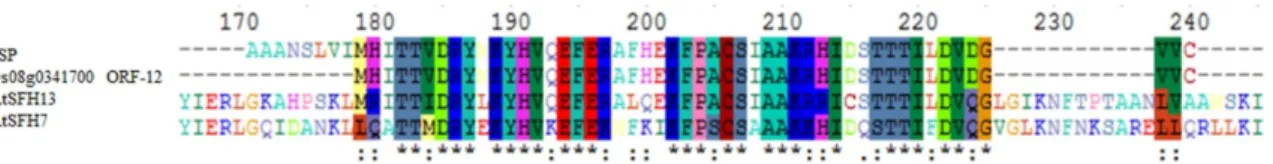Fig.  3.  Similar  protein  sequences  were  analyzed  at  NCBI  and  the  same  amino  acids  were  labeled.
