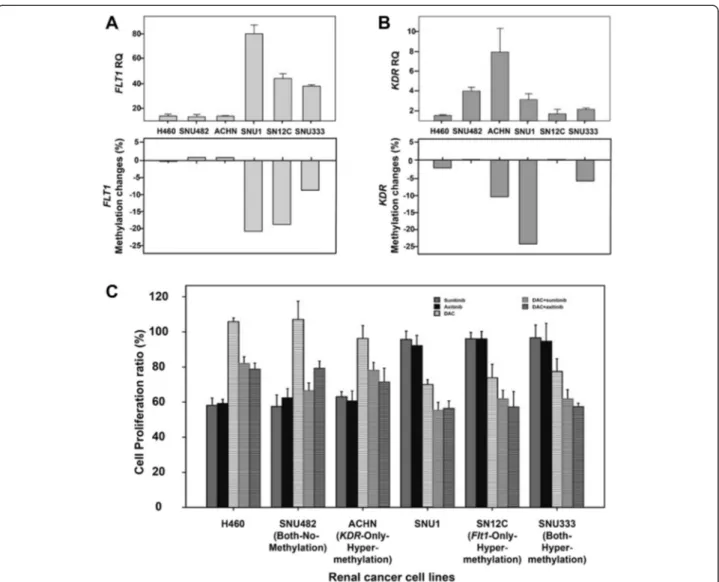 Fig. 5 FLT1 and KDR expression and the proliferation-inhibitory effects of sunitinib or axitinib after demethylation treatment