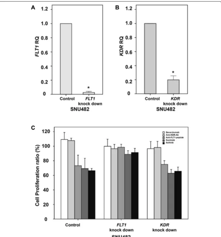 Fig. 6 Expression changes and anti-VEGF/VEGFR drug efficacies following knockdown of FLT1 or KDR in vitro