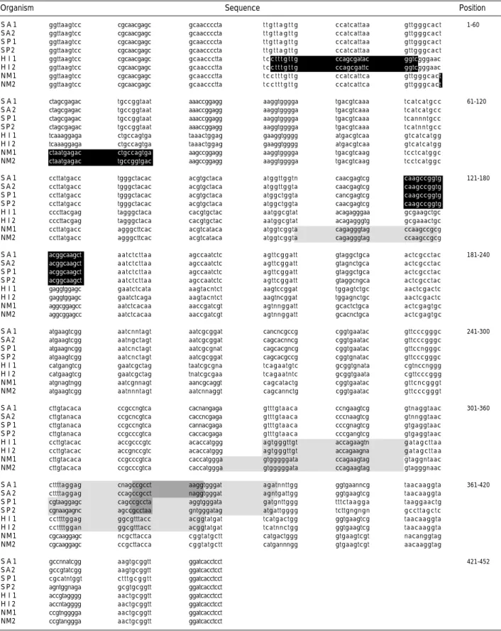 Table 1. Nucleotide sequences of 16S rRNA gene of S. agalactiae, S. pneumoniae, H. influenzae and N