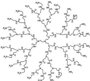 Fig.  1.  Schematic  structure  of  PAMAM  dendrimer. 