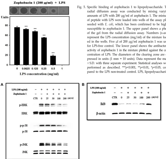 Fig.  5.  Specific  binding  of  zophobacin  1  to  lipopolysaccharide.  The  radial  diffusion  assay  was  conducted  by  mixing  varying  amounts  of  LPS  with  200  μg/ml  of  zophobacin  1