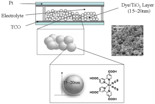 그림 2. 염료감응형 태양전지(dye-sensitized solar cell)의 구조 및 루테늄계 염료 구조.