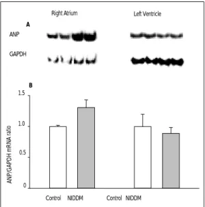 Fig. 5. ANP mRNA expression from hypothalamus and kidney in control and non-insulin dependent diabetic (NIDDM) rats