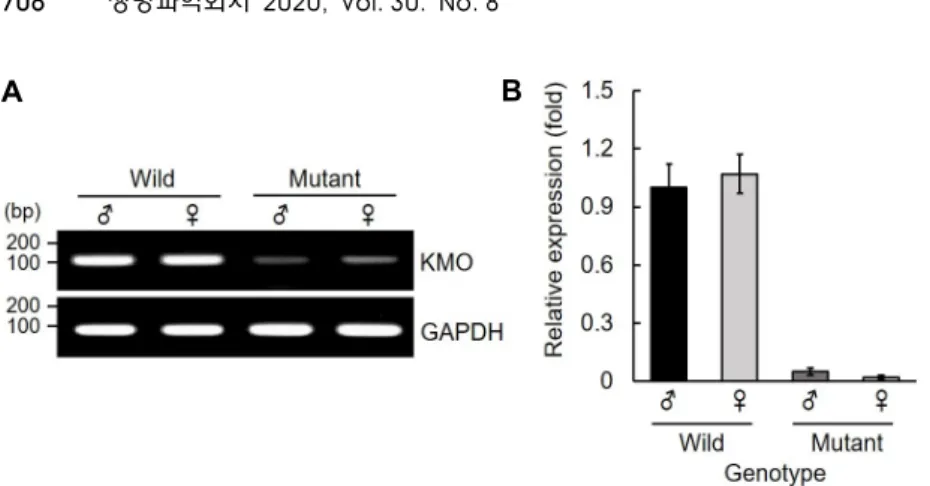 Fig.  4.  Relative  gene  expression  of  in  BmKMO  mutants.  The  transcription  levels  of  BmKMO  gene  in  the  mutant  larvae  were  analyzed  with  RT-PCR  (A)  and  quantitative  RT-PCR  (B)