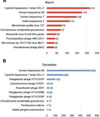 Fig.  6.  The  top  ten  viruses  which  were  dominantly  present  in  March  (A)  and  December  (B)  samples.