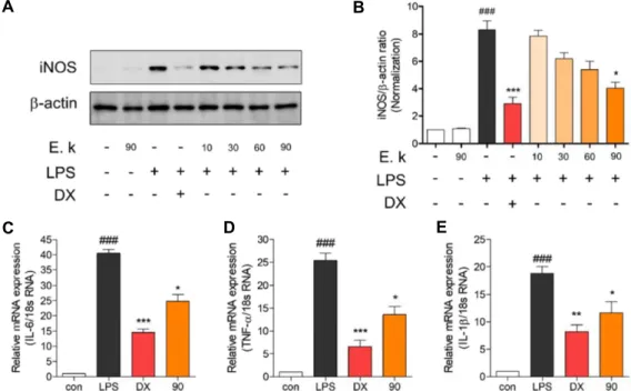 Fig.  2.  The  80%  sub-fraction  showed  anti-inflammatory  effects  by  inhibiting  pro-inflammatory  mediators