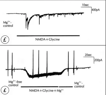 Fig. 2. Both NMDA(10μmol) and glycine(5μmol)-induced current with(A) or without(B) 1mmol Mg 2＋  in a  cul-tured rat hippocampal neuron