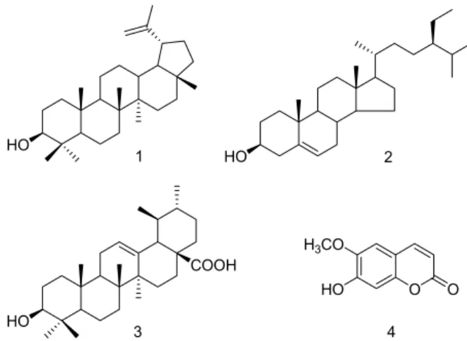 Fig.  1.  Structures  of  compounds  1-4.