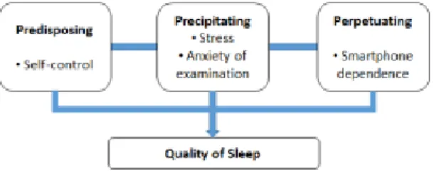 Fig.  1.  Study  Framework