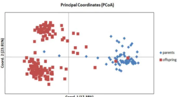 Fig.  1.  Principal  coordinate  analyses  (PC O A)  of  parents  and  off- off-spring  populations,  S