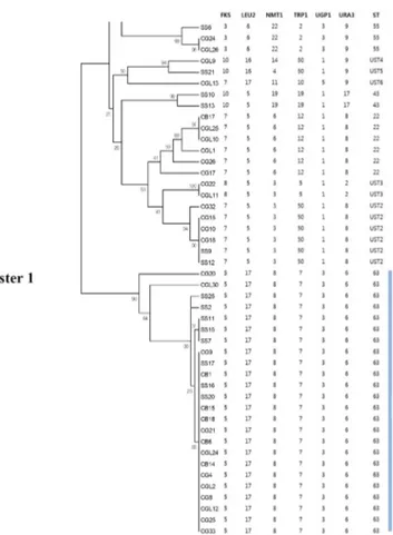 Fig.  2.  Phylogenetic  tree  generated  from  each  isolate.  The  MLST  allele  profile,  sequence  type  (ST),  and  eBURST  group  (Cluster  1)  are  listed.