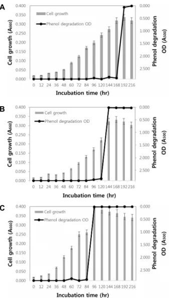 Fig.  4.  Effect  of  K 2 HPO 4   on  cell  growth  and  phenol  degradation. 