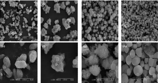Figure 1. SEM  images  of  the  CaCO 3   particles  prepared  in  the  carbonation  processes  with  in  situ  polymerization  of  421  mM  AA  (sample  #1)  at  30 o C  after  (a)  10  min,  (b)  30  min,  (c)  60  min,  (d)  120  min,  and  (e-h)  corres
