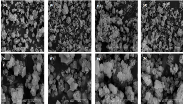Figure 2. SEM  images  of  the  CaCO 3   particles  prepared  in  the  carbonation  processes  with  in  situ  polymerization  of  421  mM  AM  (sample  #2)  at  30 o C  after  (a)  10  min,  (b)  30  min,  (c)  60  min,  (d)  120  min,  and  (e-h)  corres