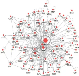 Fig.  2.  Co-Classification  Network