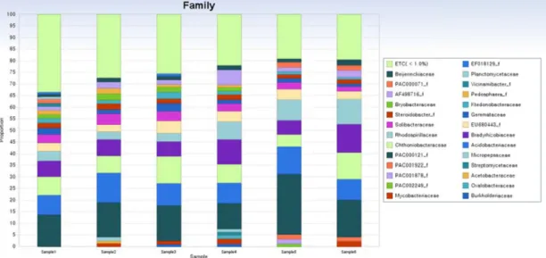 Fig.  3.  Taxonomic  classification  of  bacteria  associated  with  6  samples  of  R