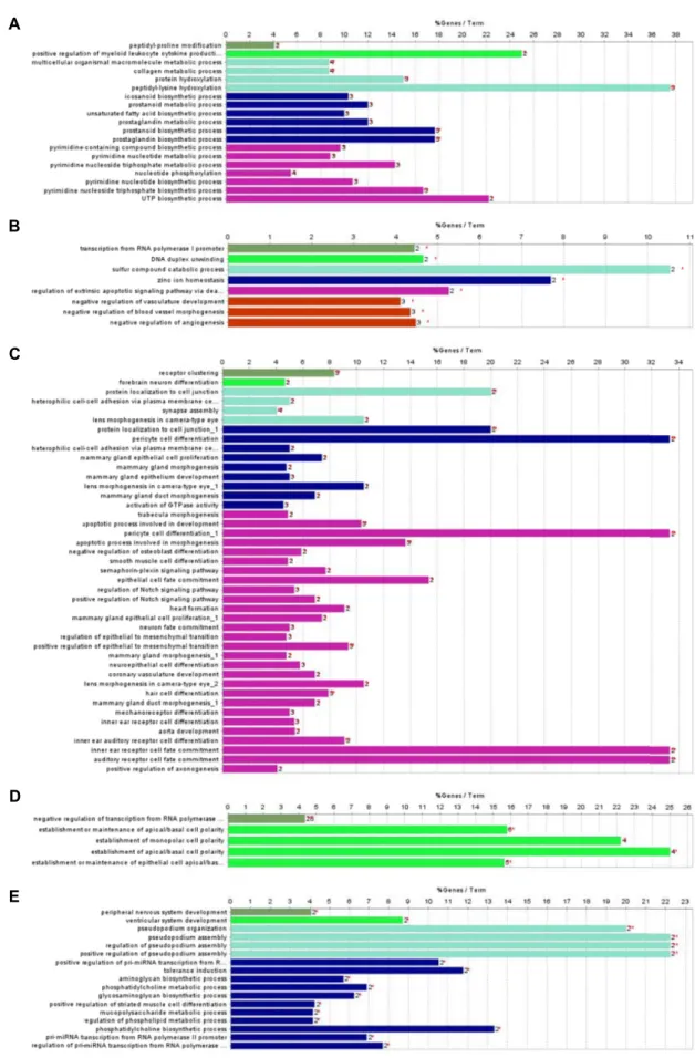 Fig.  4.  Gene  ontology  biological  process  term  enrichment  of  the  6  months  post-conceptional  age  specific  differentially  expressed  genes