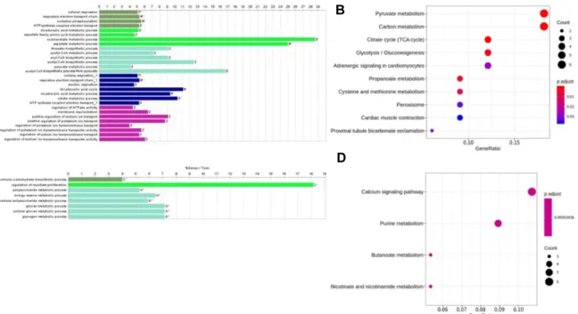 Fig.  6.  Functional  analysis  of  the  9  months  post-conceptional  age  specific  differentially  expressed  genes
