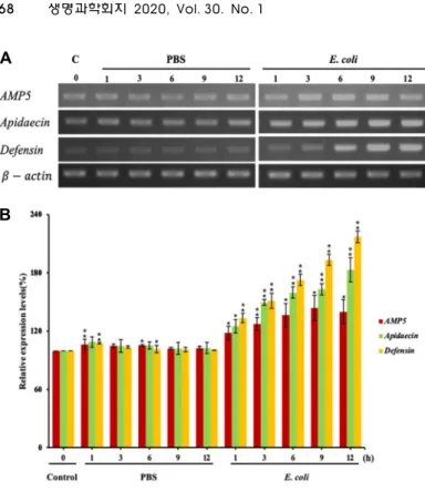Fig.  4.  Transcriptional  expression  profiles  of  AMP5  in  re- re-sponse  to  microbial  infection  in  A
