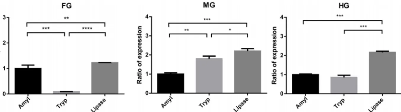 Fig.  2.  Gene  expression  of  amylase  (black),  trypsin  (light  gray)  and  lipase  (dark  gray)  from  digestive  tract  of  male  G