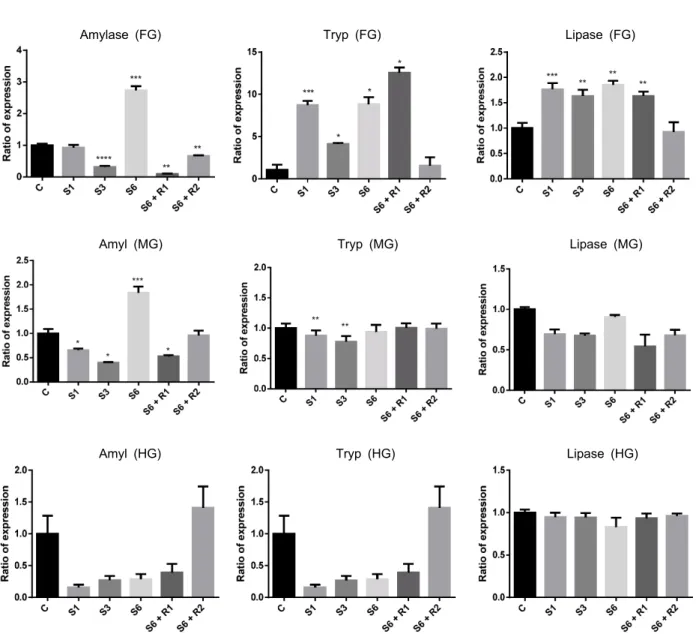 Fig.  3.  Gene  expression  of  amylase,  trypsin  and  lipase  by  starvation  (S)  and  refeeding  (R)  in  the  digestive  tract  of  male  G