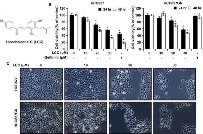 Fig.  1.  The  effects  of  LCC  on  cell  viability  in  HCC827  and  HCC827GR  cells