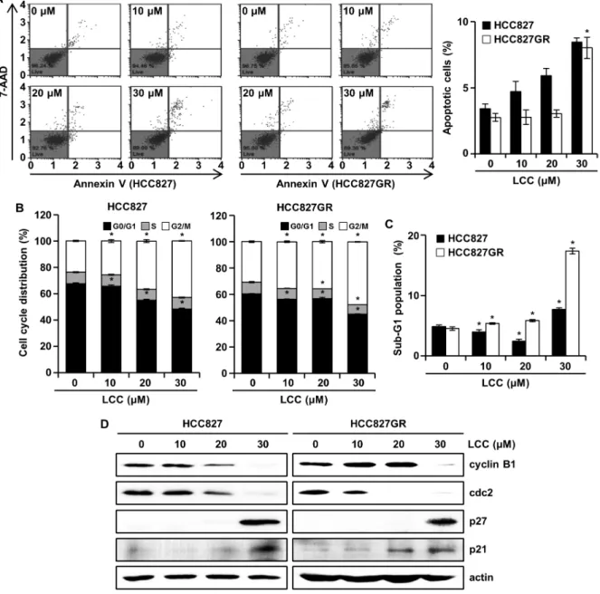 Fig.  2.  The  effects  of  LCC  on  cell  cycle  and  apoptosis  in  NSCLC  cells.  HCC827  and  HCC827GR  cells  served  as  controls  or  subjected  to  LCC  for  48  hr