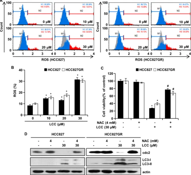 Fig.  4.  The  effects  of  LCC  on  ROS  in  NSCLC  cells.  (A  and  B)  After  treatment  of  cells  with  LCC  for  48  hr,  intracellular  ROS  generation  was  measured  with  a  Muse  Cell  Analyzer