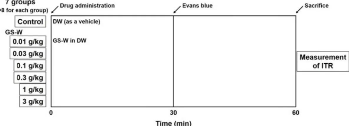 Fig.  1.  Scheme  for  the  measurement  of  in  vivo  ITR  in  normal  mice.