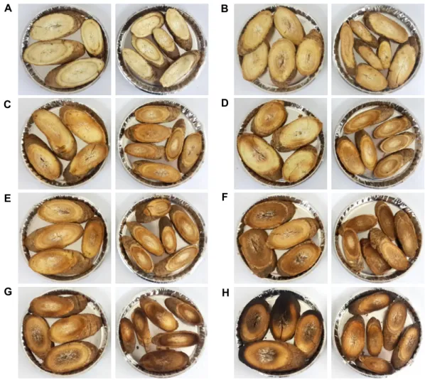 Fig.  1.  Change  in  appearance  of  A.  lappa  tea  by  heat  treatment  condition.  (A)  Control,  (B)  180℃-3  min  treated  sample,  (C)  180℃-4  min  treated  sample,  (D)  200℃-2  min  treated  sample,  (E)  200℃-3  min  treated  sample,  (F)  200℃-