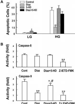 Fig.  3.  Effects  of  caspase  inhibitors  on  high  glucose-induced  apoptosis.  Cells  were  exposed  for  48  hr  to  media   con-taining  30  mM  glucose  in  the  presence  of  different   cas-pase  inhibitors  (each  20  μM),  and  apoptotic  cells 